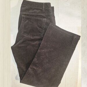Chaps Denim Petite Corduroy Pants, Dark Brown in size 12P